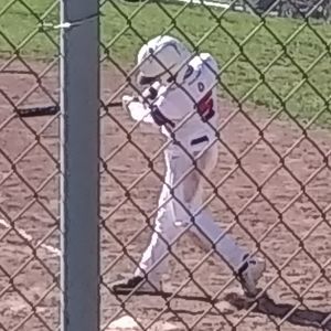 Meet your Posher, Shelley